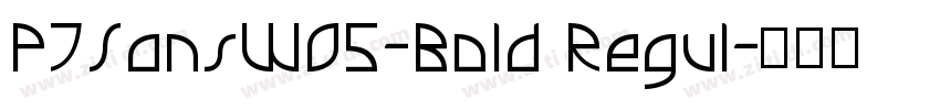 PTSansWO5-Bold Regul字体转换